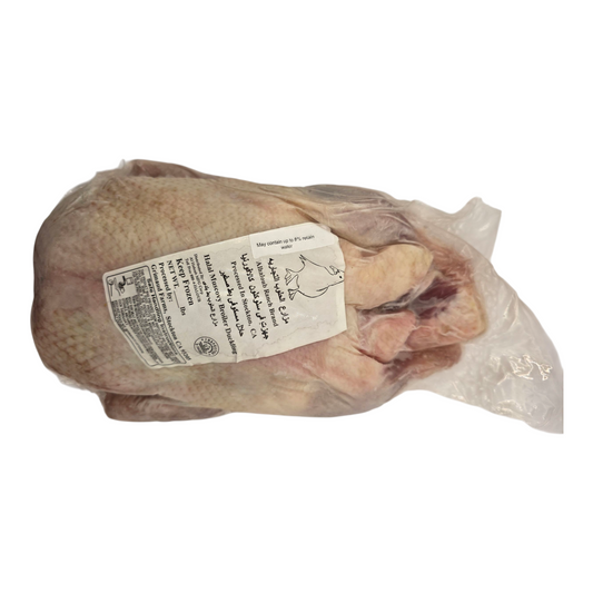 Alhaloub Ranch Brand Halal Muscovy Broiler Duckling